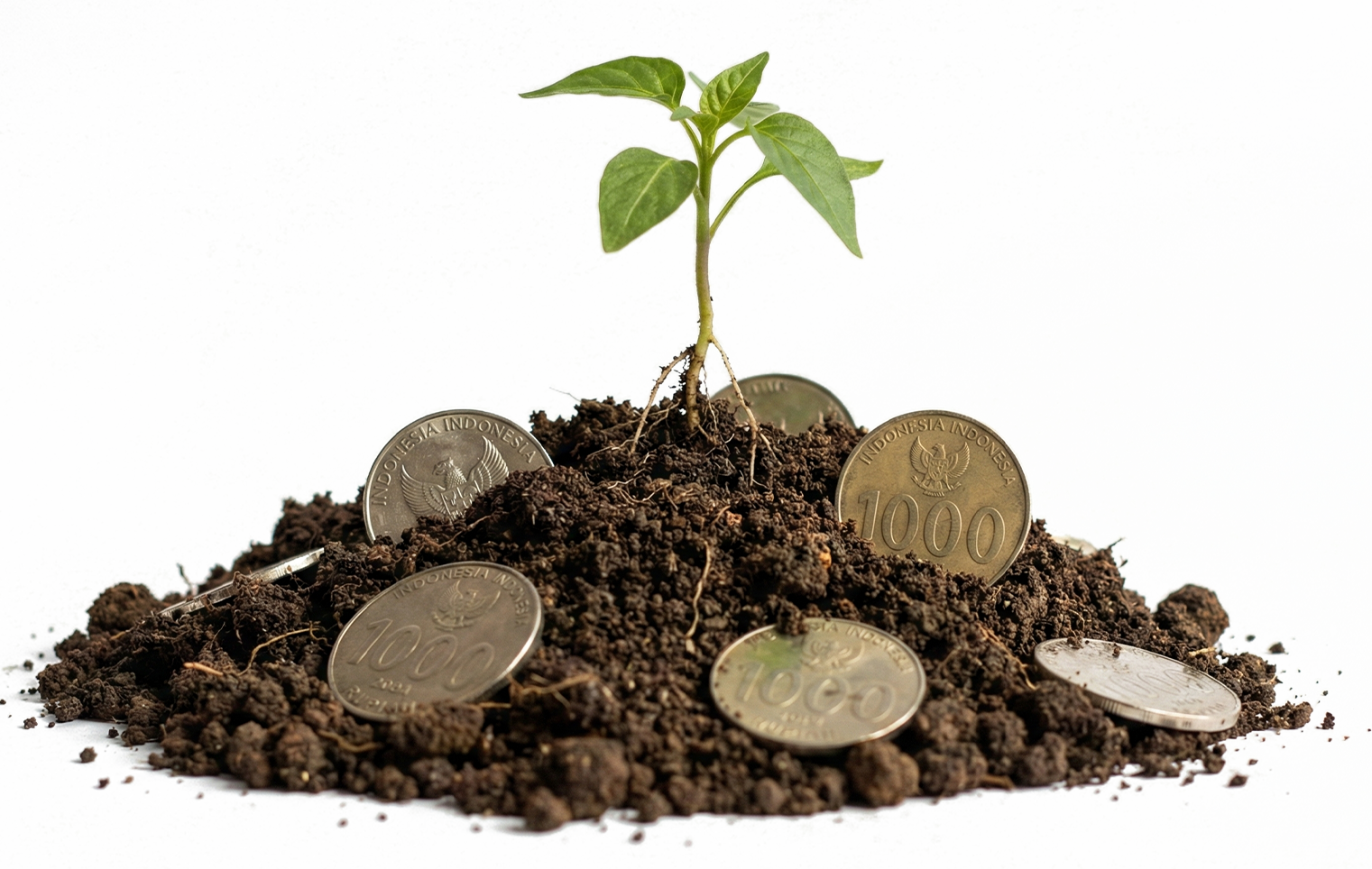 GPC Capital About